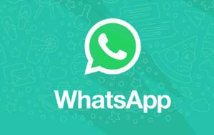 WhatsApp营销大师 2021版[个人版]